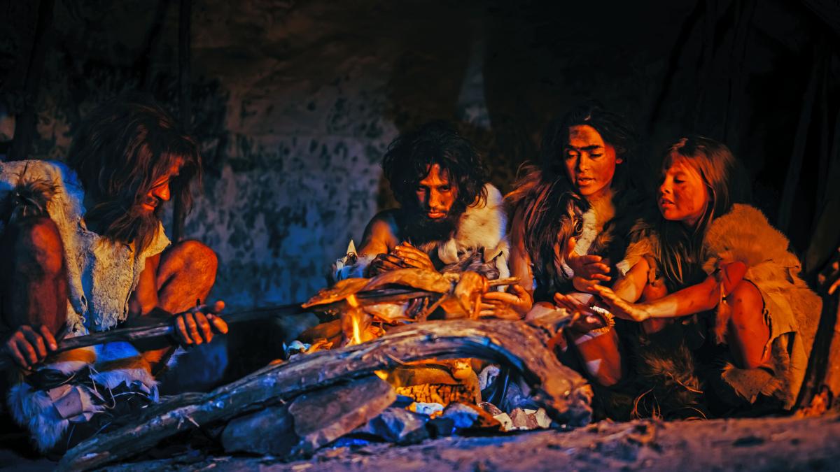 iStock-1194512891.jpg