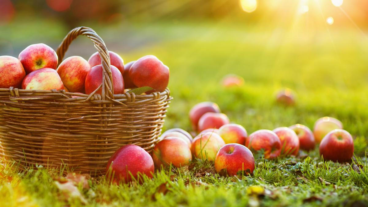 iStock-1157535745.jpg
