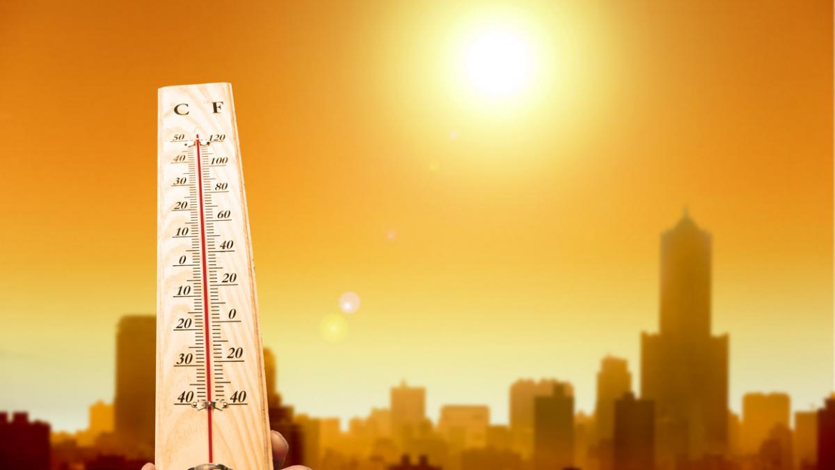 iStock-179020346.jpg