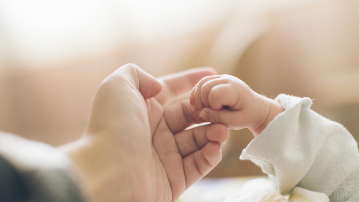 iStock-1063148786.jpg