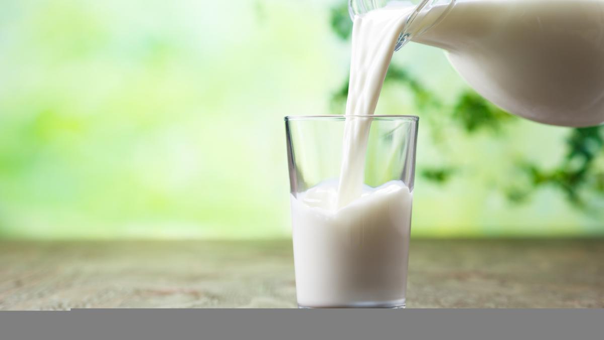 iStock-535489242.jpg