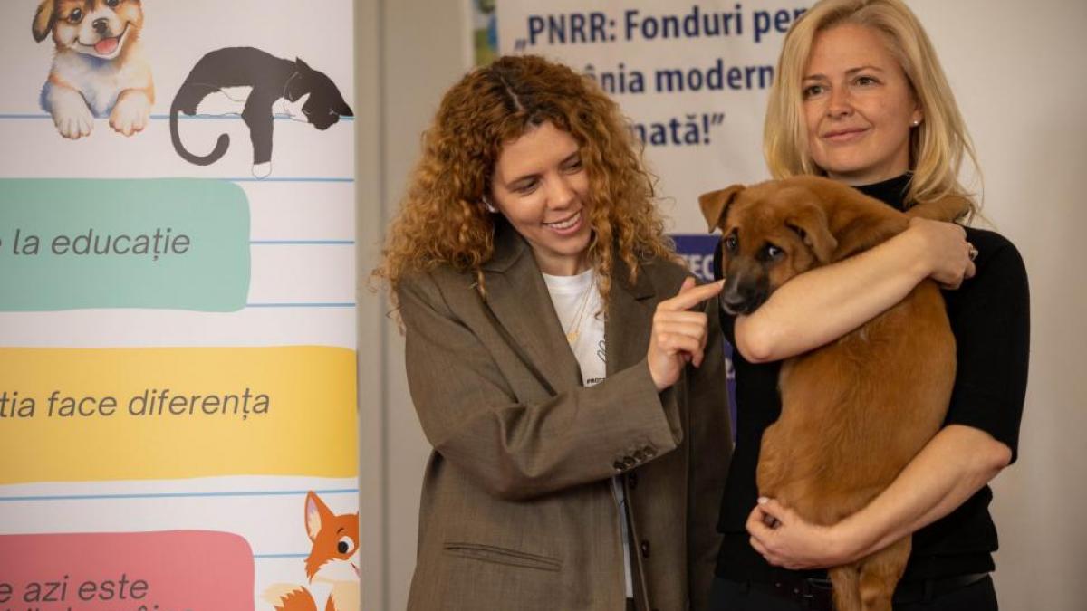 ora-pentru-animale.jpg