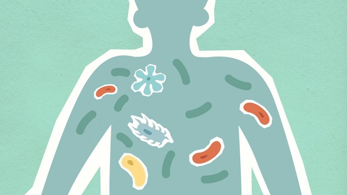 beneficiile-imbunatatirii-sanatatii-intestinale.jpg