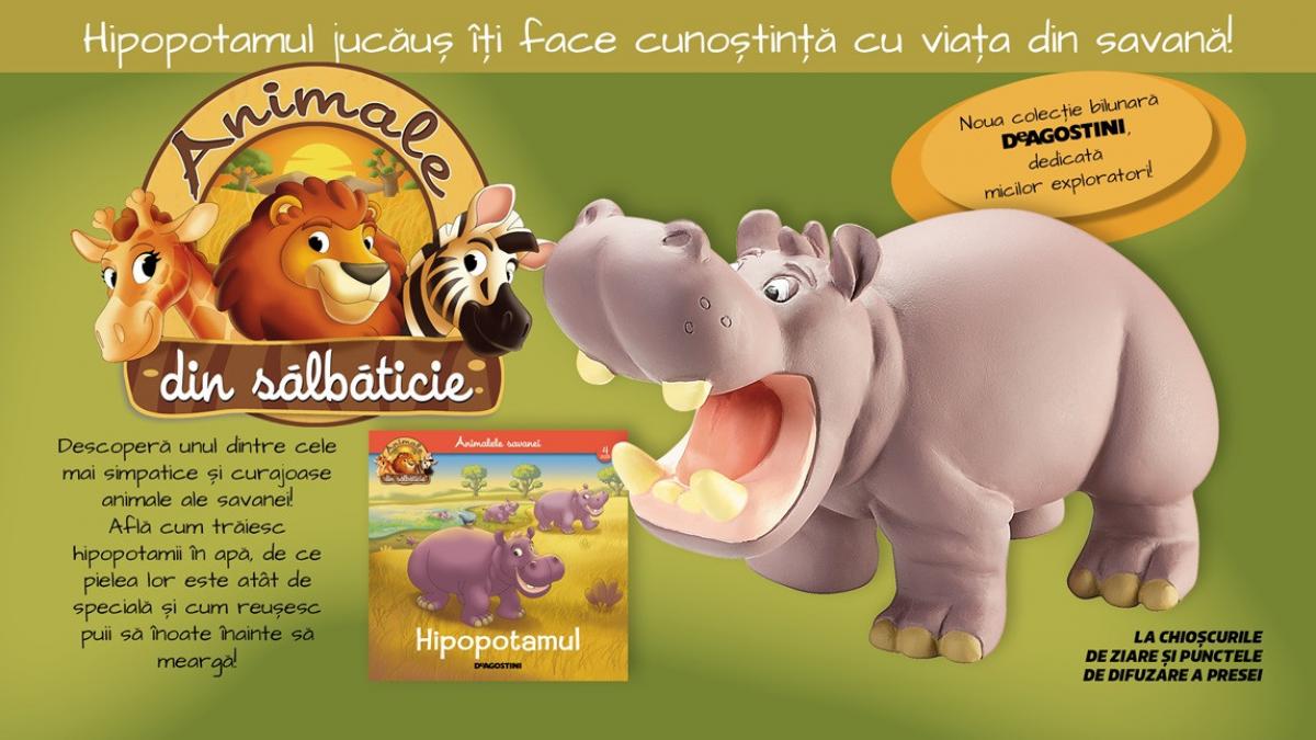 FB_Jucarii_nr4_04.jpg