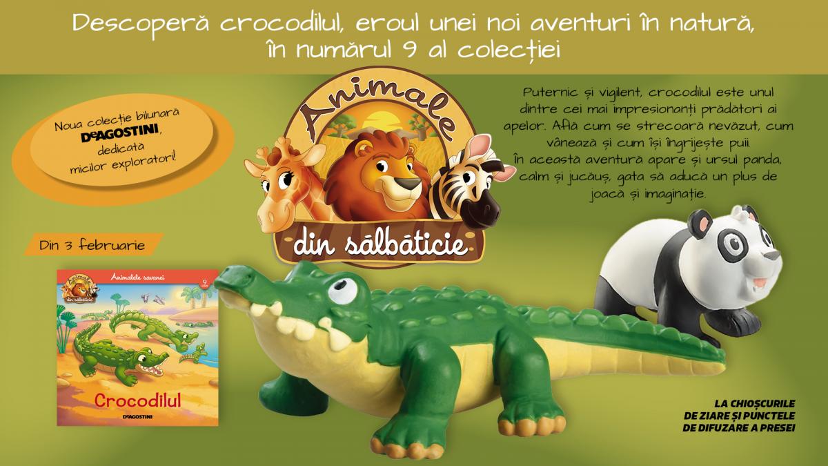 FB_Jucarii_nr9