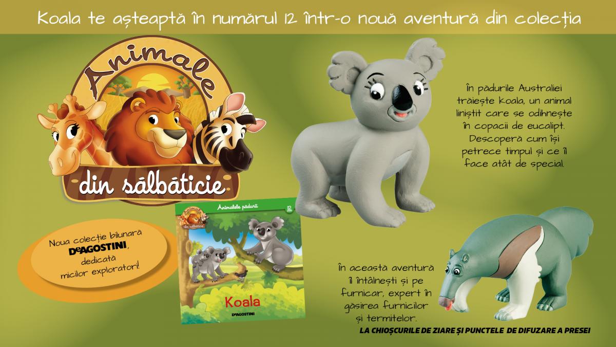 FB_Jucarii_nr_12