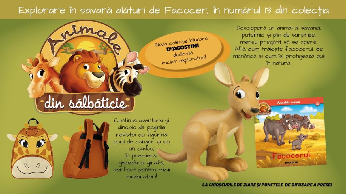 FB_Jucarii_nr13