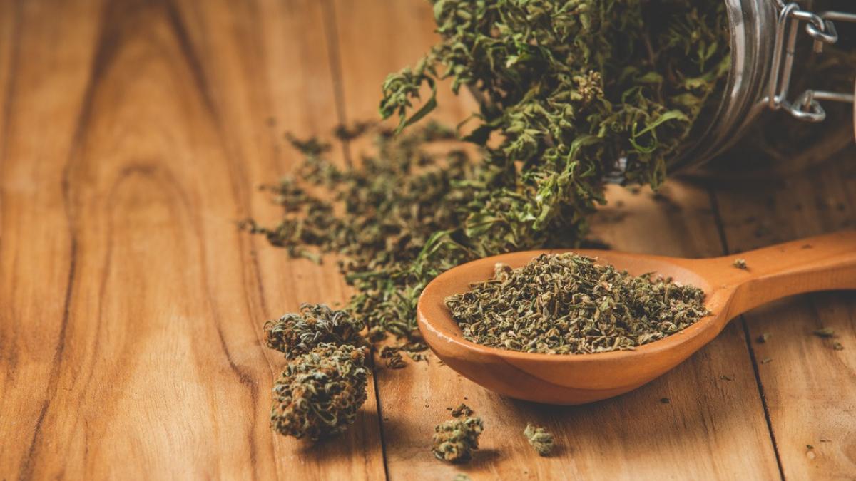 cannabis
