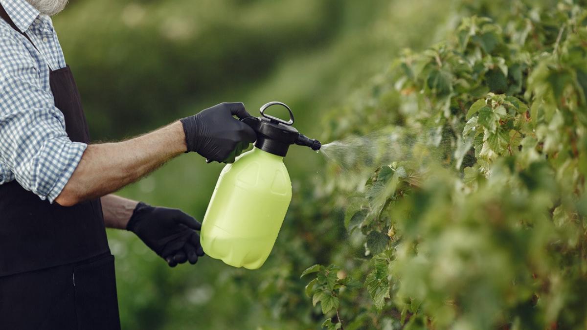 pesticide