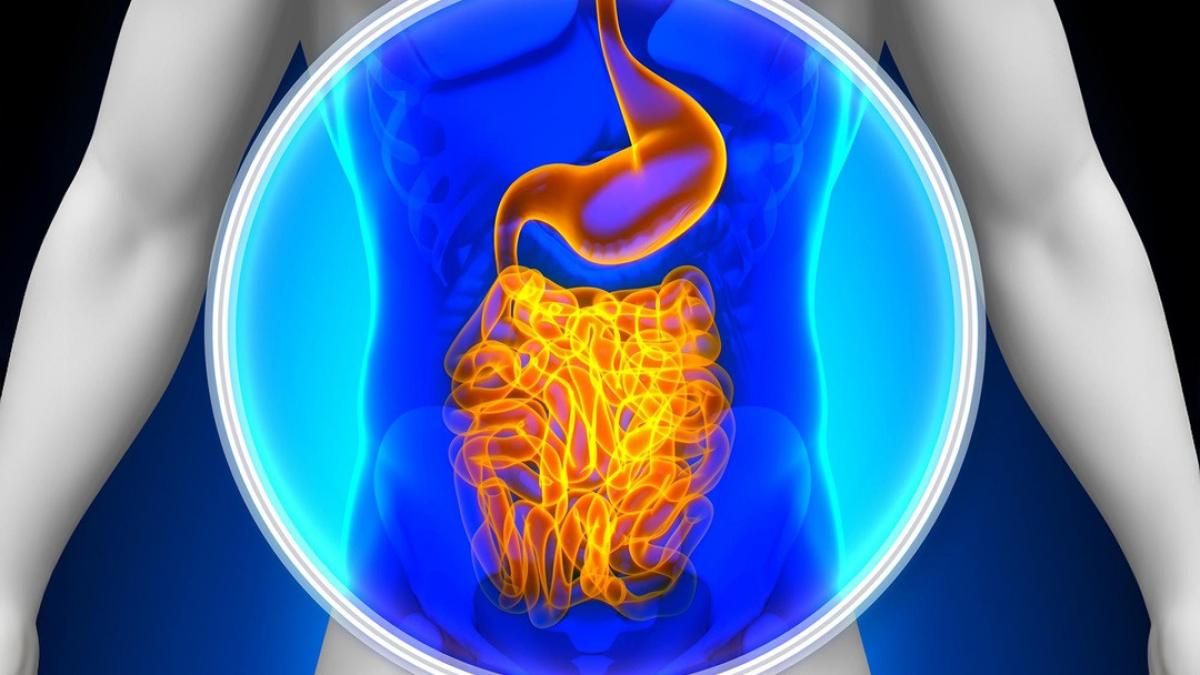 microbiomul intestinal