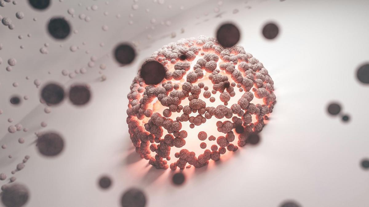 dezvoltarea celulelor canceroase