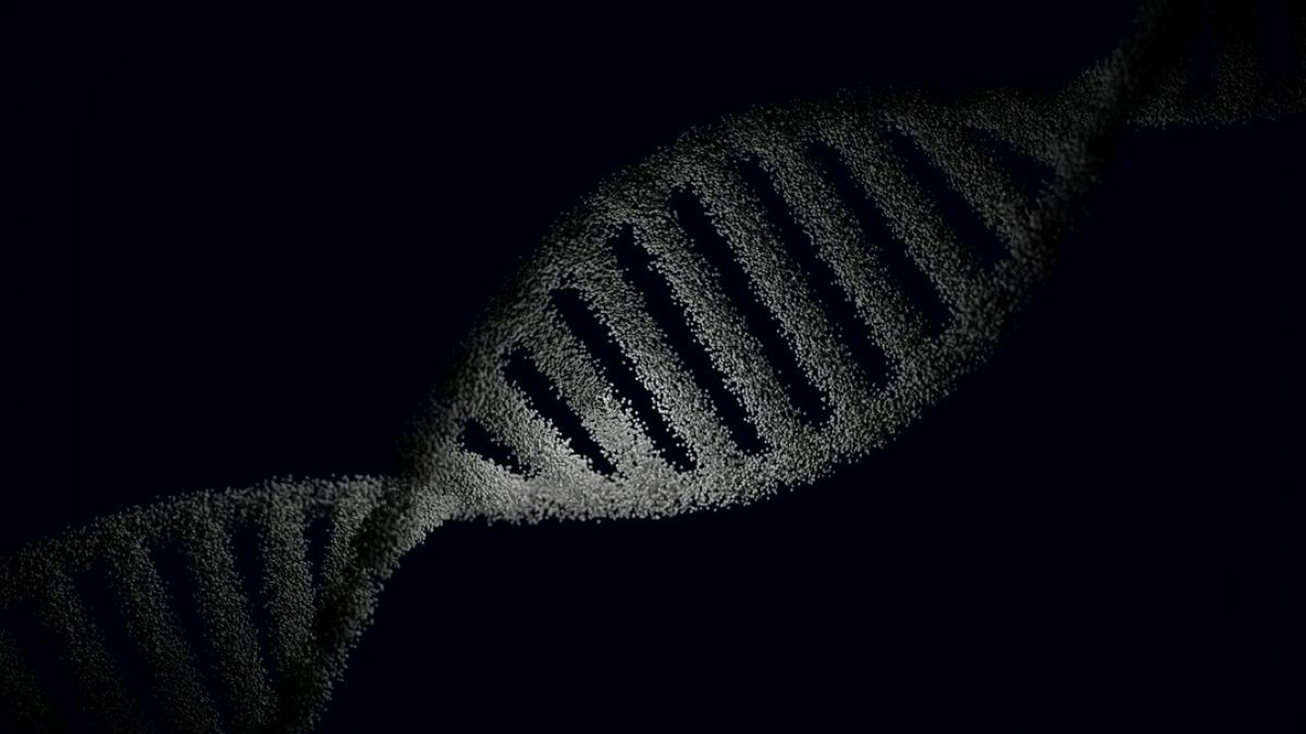 epigenetica