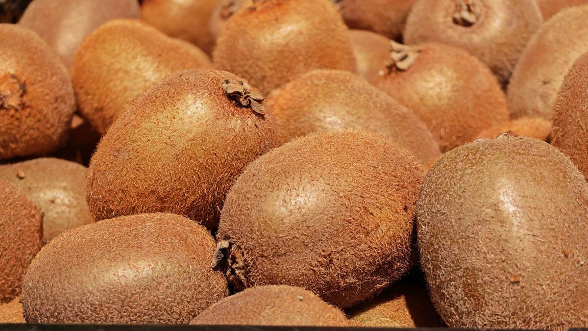 kiwi