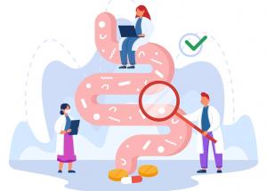 legatura intestin creier cum influenteaza microbiomul imbatranirea si sanatatea cognitiva