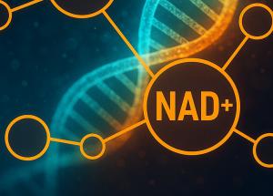 nad si longevitatea adevarul din spatele suplimentelor anti aging