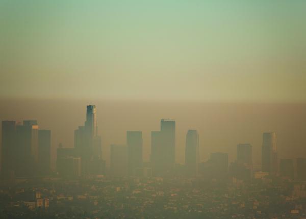 aerul poluat reduce dramatic durata de viata