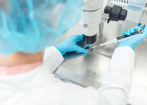 embrioni umani sintetici creati de oamenii de stiinta printr un experiment revolutionar