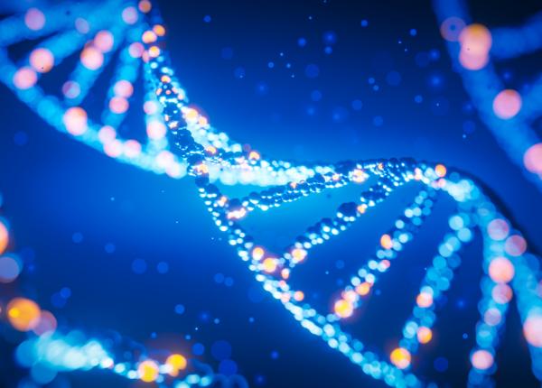 viata se adapteaza o celula construita sintetic cu doar cateva gene esentiale poate evolua la fel de rapid ca una naturala