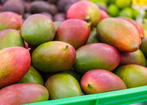 mango iata de ce ar trebui sa l mananci conform stiintei