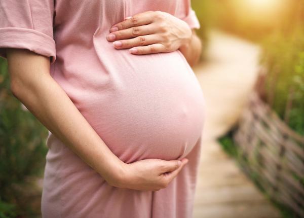 studiu celulele stem din placenta ajuta inima mamei sa se recupereze dupa un atac de cord