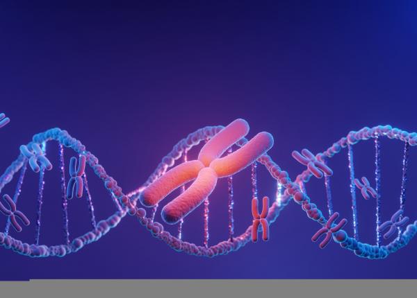 un moment evrika descoperirea care ar putea incetini imbatranirea