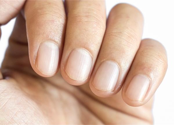 longevitatea din varful degetelor noastre