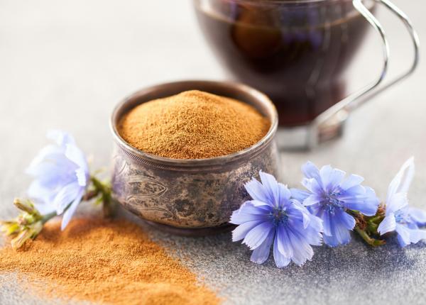 elixirul miraculos al tineretii specialistii senatului stiintific al fundatiei dan voiculescu pentru dezvoltarea romaniei dezvaluie secretul unei vieti fara batranete