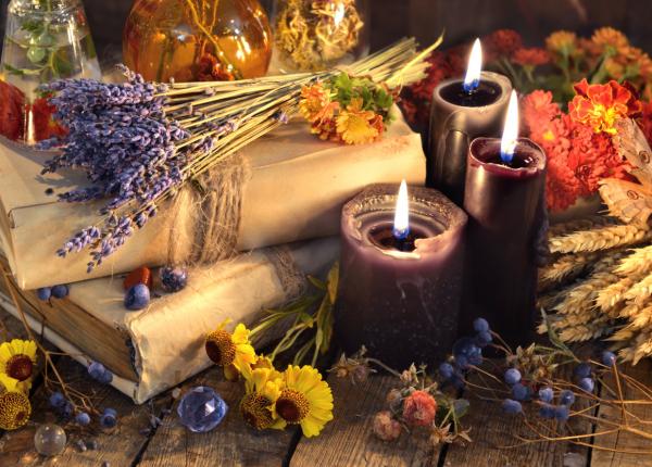 5 plante de apartament care te vor ajuta sa ai un somn odihnitor