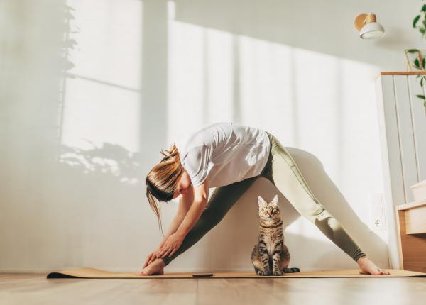 molecule de speranta noua stiinta din spatele pozitivitatii