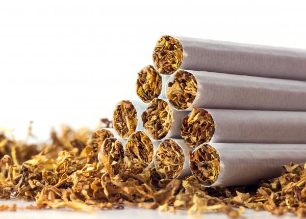 fumatul lasa urme in oase timp de secole