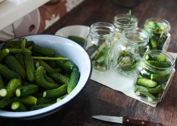 alimentul minune care se pregateste toamna