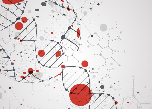 varsta prin prisma unei somitati a longevitatii