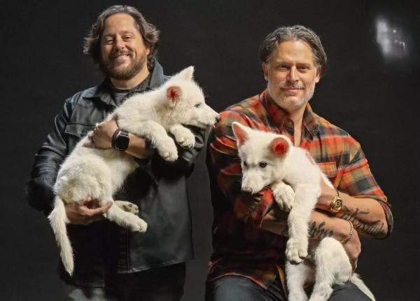 lupul stravechi s a intors dupa 10 000 de ani de extinctie