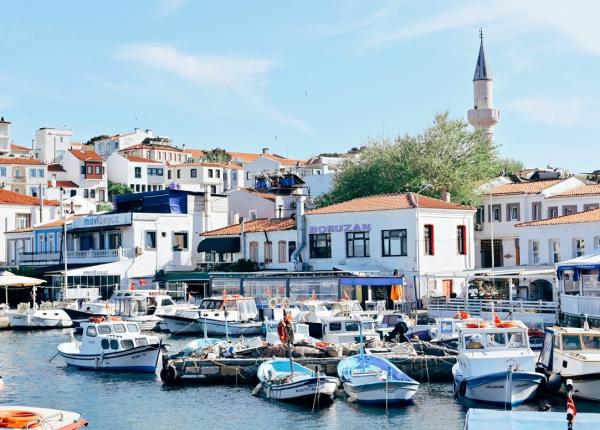 esenta longevitatii intre istorie vinuri si stil de viata echilibrat in troia si bozcaada