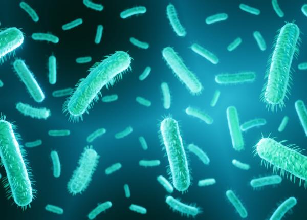 tratament revolutionar un cocktail de virusi distruge 99 din superbacteriile din spitale