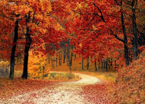 cele trei arme secrete pentru combaterea asteniei de toamna ofera un boost de energie pentru intreaga zi