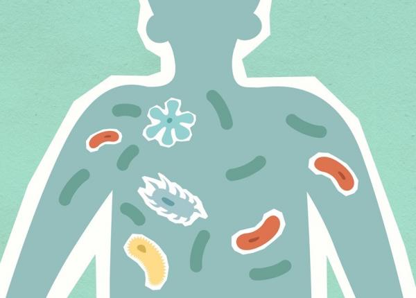 vrei sa fii metabolic sanatos un nou studiu arata beneficiile imbunatatirii sanatatii intestinale