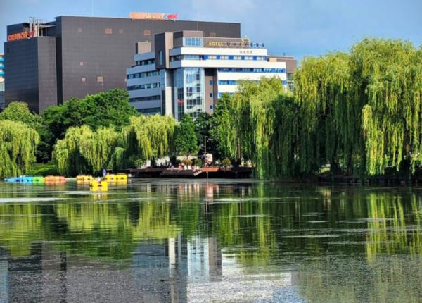 hotel univers cluj napoca eleganta ospitalitate si traditie contemporana pe malul lacului gheorgheni