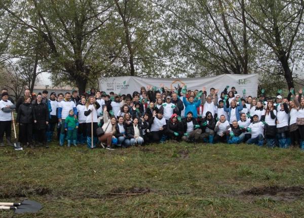 120 000 de copaci plantati in sudul romaniei prin proiectul padurea de miere