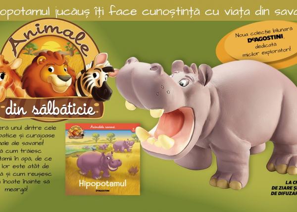 descopera lumea fascinanta a hipopotamului
