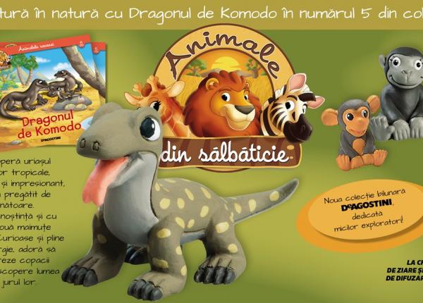 descopera dragonul de komodo din colectia animale din salbaticie