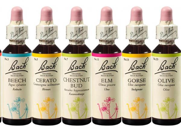 terapia florala bach sprijin pentru adaptare