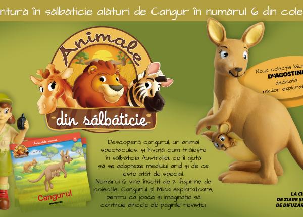 cangurul o noua descoperire in colectia animale din salbaticie