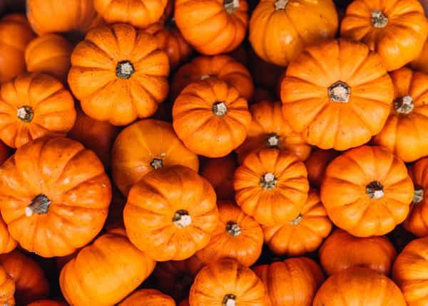 beneficiile unui superfruct de sezon dovleacul