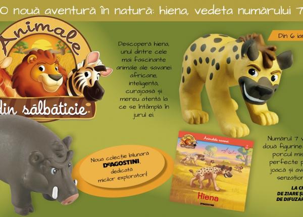 aventura in savana continua hiena vedeta numarului 7 din colectia animale din salbaticie