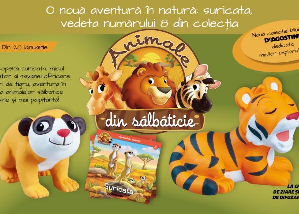 o noua aventura in natura suricata vedeta numarului 8 din colectia animale din salbaticie