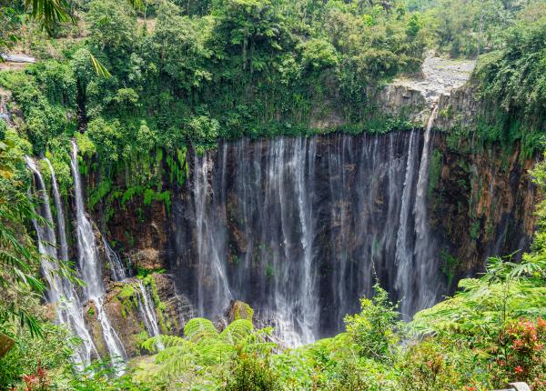 se stie deja calatoriile exotice ofera relaxare sanatate si reconectare autentica