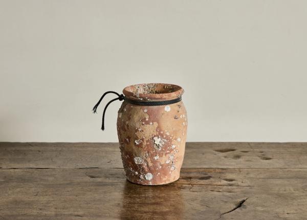 sindromul inimii frante povestea takotsubo