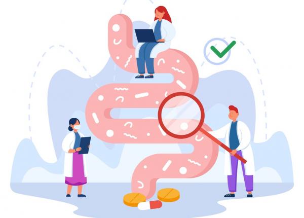 legatura intestin creier cum influenteaza microbiomul imbatranirea si sanatatea cognitiva