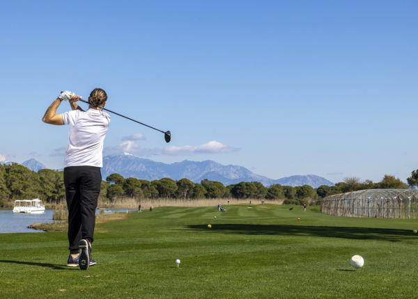 sanatate si vitalitate stiinta din spatele golfului si longevitatii